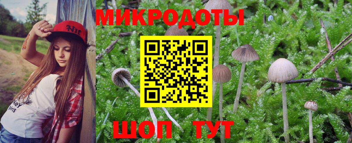 Псилоцибиновые грибы Psilocybine cubensis Старый Оскол