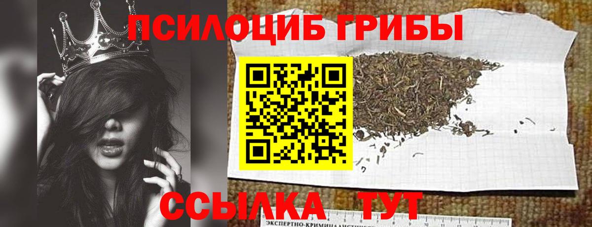 Старый Оскол  Псилоцибиновые грибы Cubensis  Вход с VPN  Псилоцибиновые грибы Cubensis 